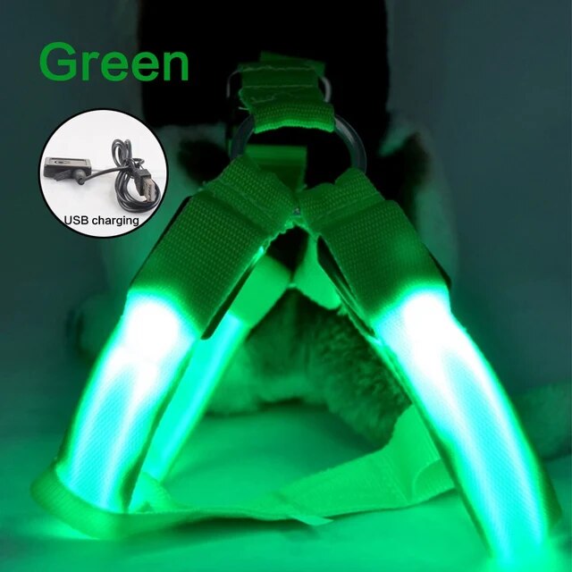 Luminous Dog Harness