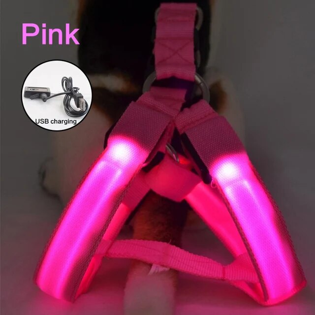 Luminous Dog Harness