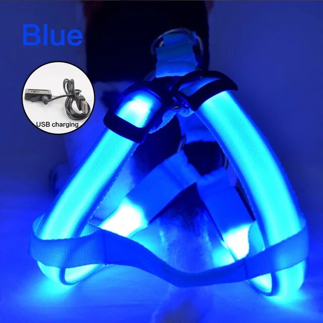 Luminous Dog Harness