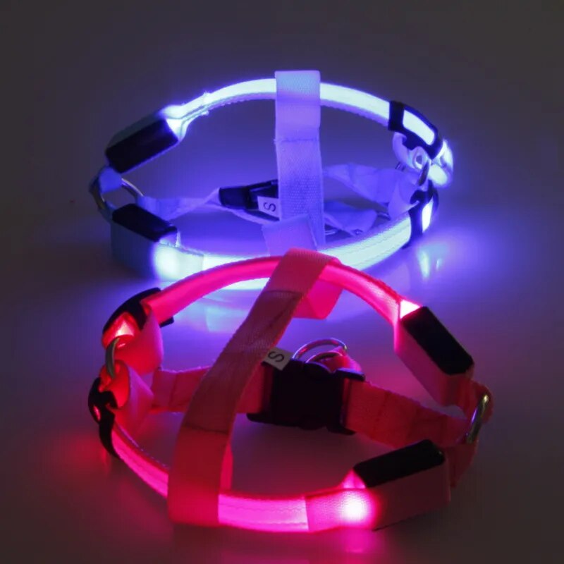 Luminous Dog Harness