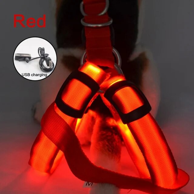 Luminous Dog Harness