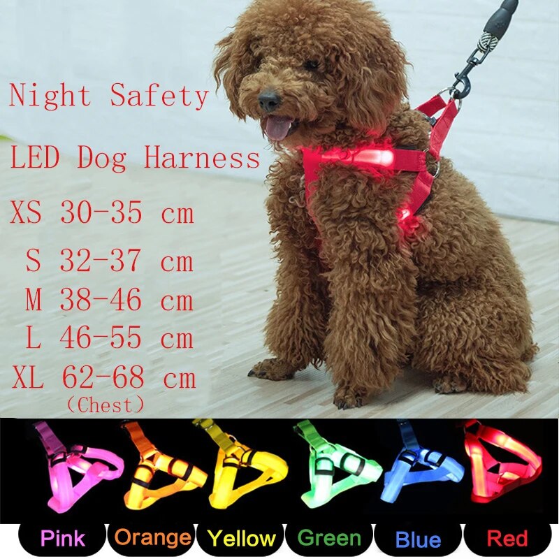 Luminous Dog Harness