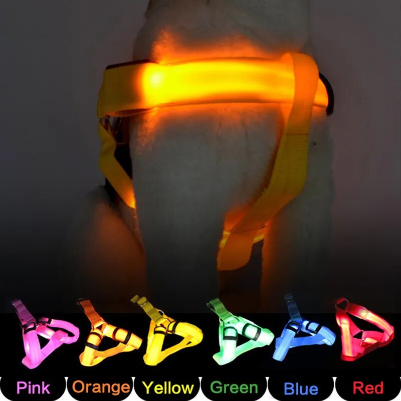 Luminous Dog Harness