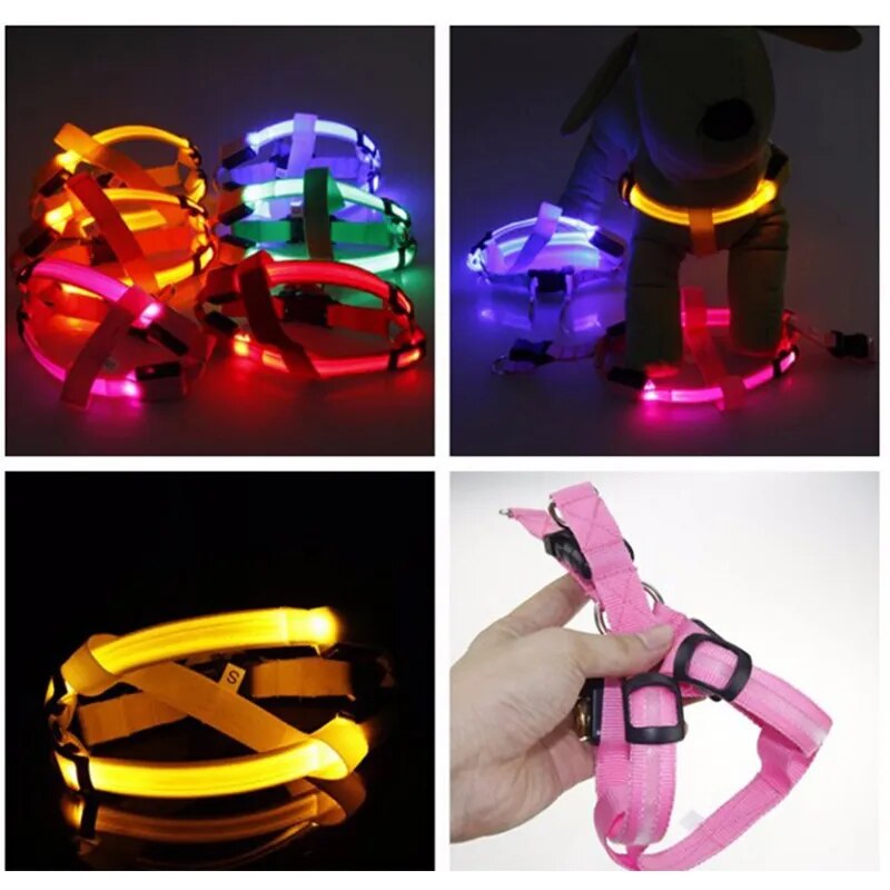 Luminous Dog Harness